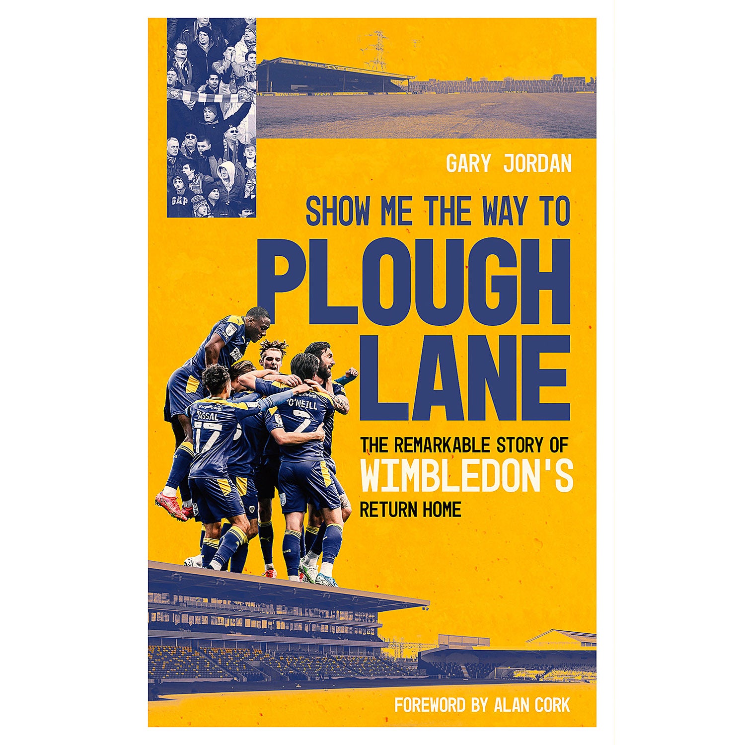 Show Me The Way To Plough Lane – The Remarkable Story of Wimbledon's Return Home