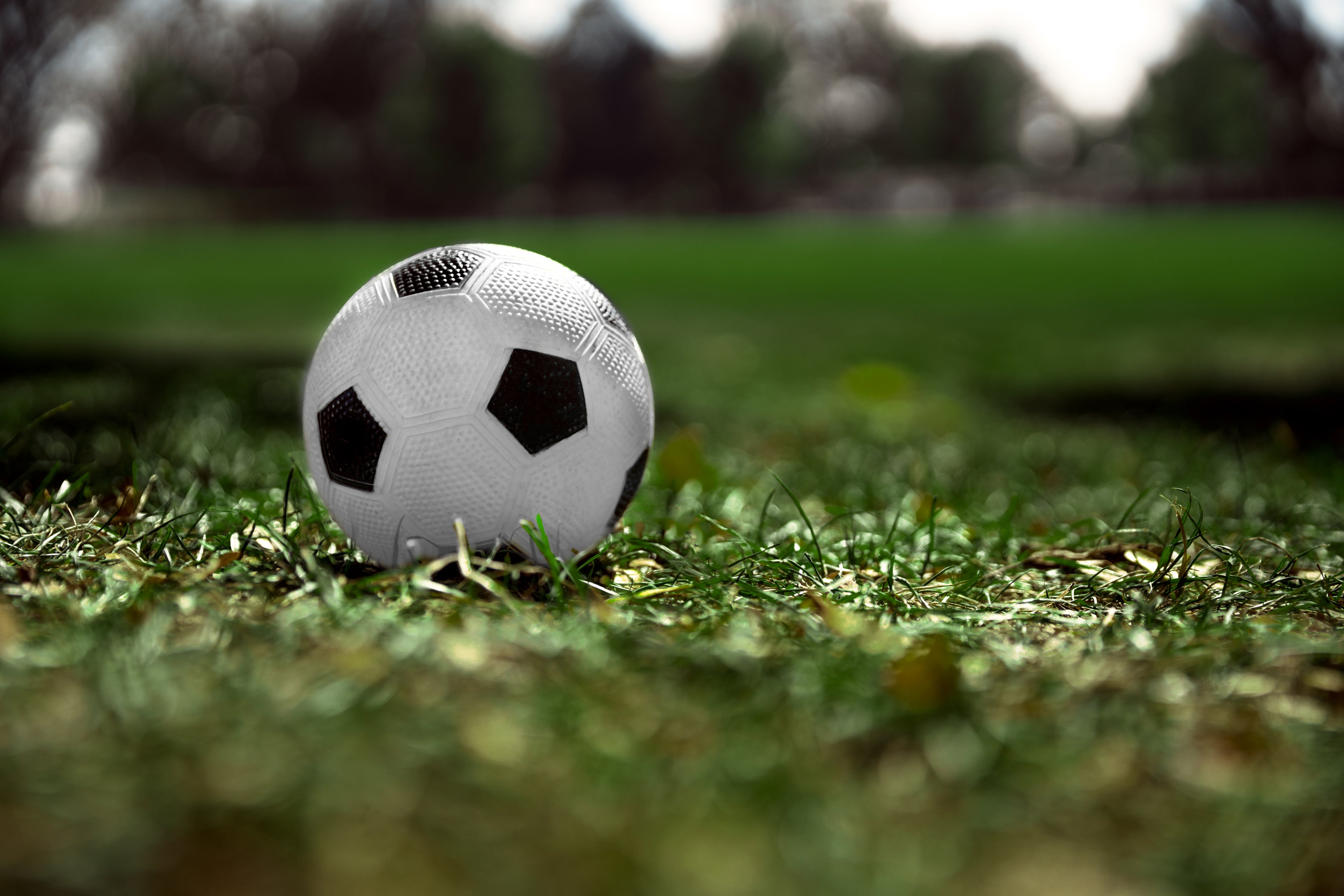 Soccer ball in grass